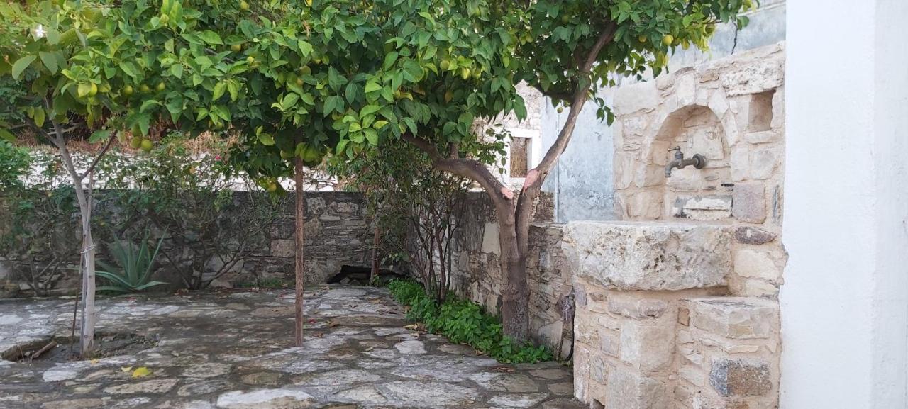 Agios Dimitrios  Traditional House In Asfendiou מראה חיצוני תמונה