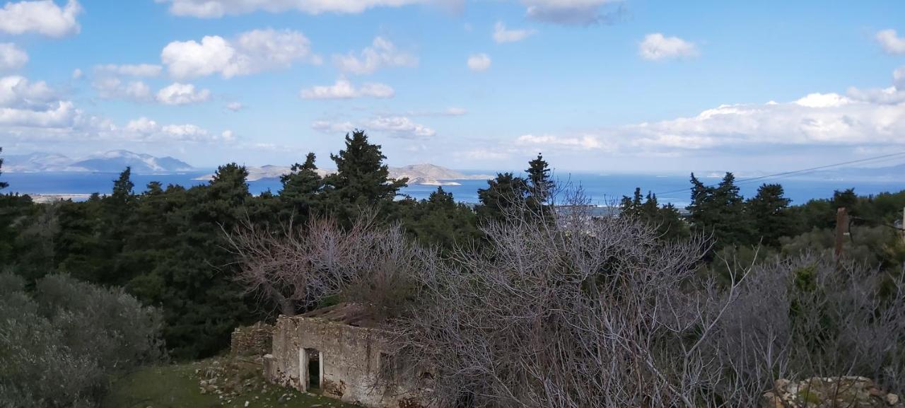 Agios Dimitrios  Traditional House In Asfendiou מראה חיצוני תמונה
